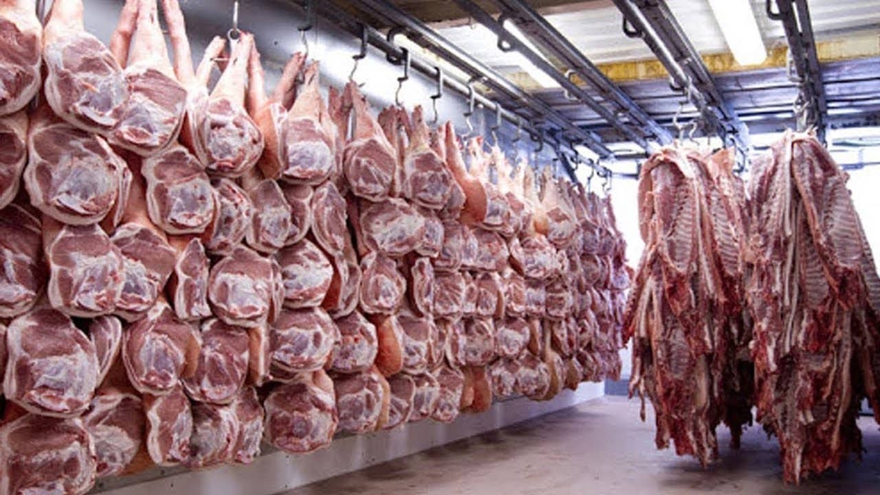 راهکارهایی برای استفاده صحیح از دستگاه چرخ گوشت صنعتی