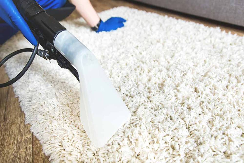 شستشوی فرش پرز بلند یا شگی چگونه باید انجام شود؟